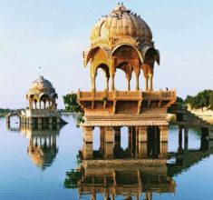 Pink City package below img2