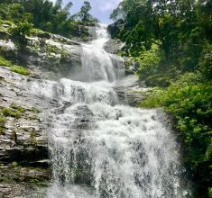 Kerala below img1