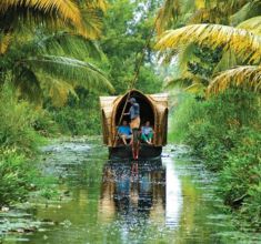 Kerala below img1